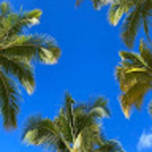 Meet your Posher, Robert - Picture 1 of 1